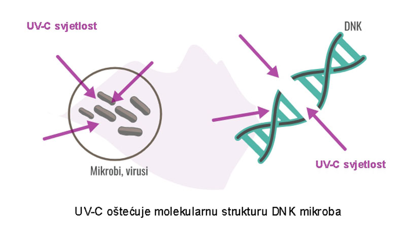 Kako djeluje UV-C dezinfekcija